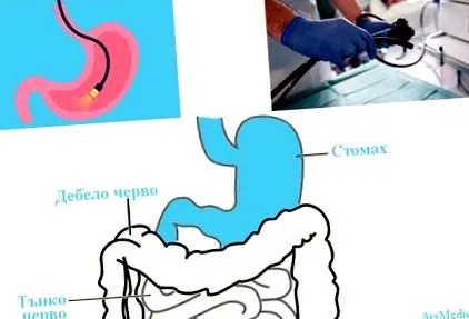hányásának hányásának