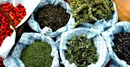 erős erős