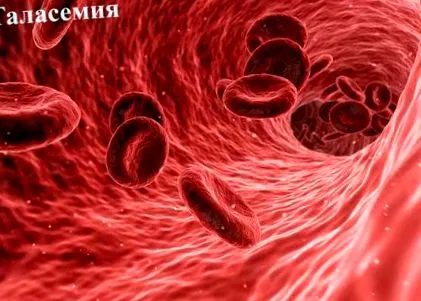 nagy thalassemia nagy thalassemia