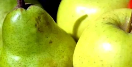 allergiás reakció kialakulásának allergia