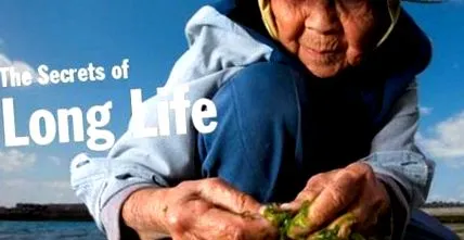 élettartamának okinawans