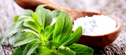 stevia amit