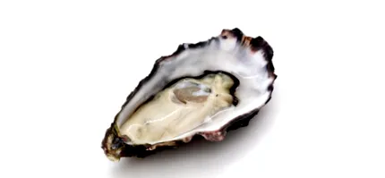 összetétel