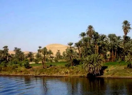 legfontosabb