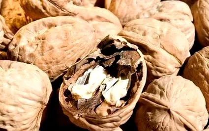 legfontosabb legfontosabb