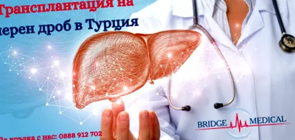 medical májátültetés
