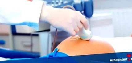 ultrahangja szervek