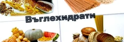 szénhidrátot edzés előtt