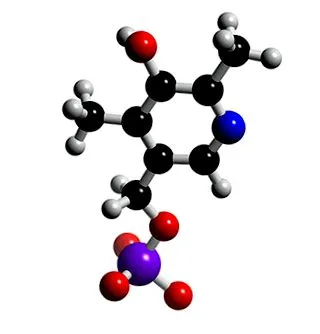 gazdag étel b6-vitamin