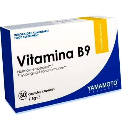 yamamoto yamamoto