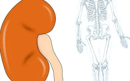 vese osteodystrophia veseelégtelenségben