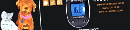 wellion