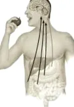 energiaegyensúly