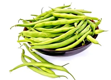 zöldbab táplálkozás