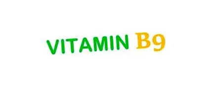 folsav b9-vitamin