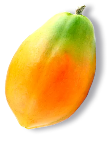 terhesség ezen szerint