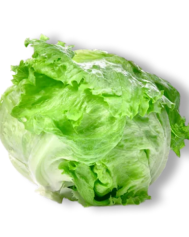 terhesség