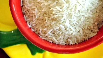 finomított étel