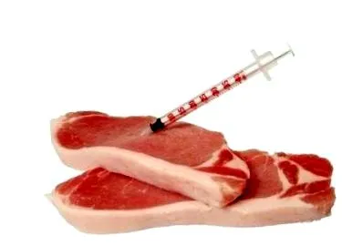 antibiotikumok elhízást található