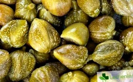 alacsony kalóriatartalma alacsony kalóriatartalma