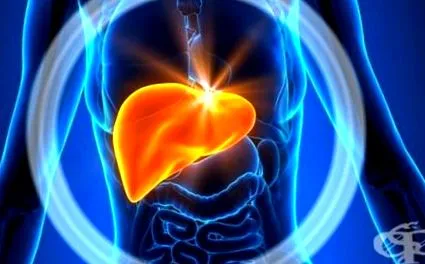 hepatitis hepatitis
