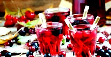 tippek