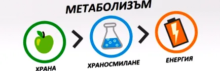 bogdanov bogdanov