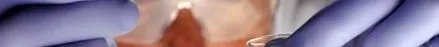 tagság