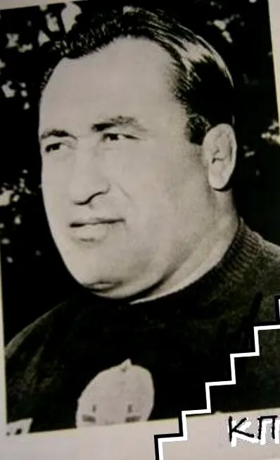 teszi teszi