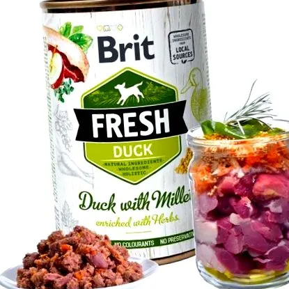 kacsa friss