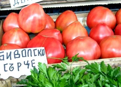 popov prof