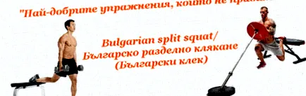 lyubomir lyubomir
