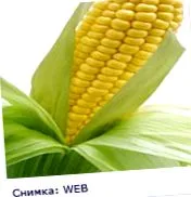 kukoricakeményítő
