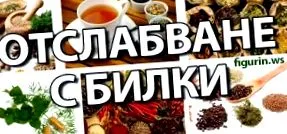 Csalán fogyáshoz csak akkor
