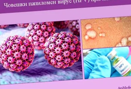 genitális szemölcsök papillomavírus
