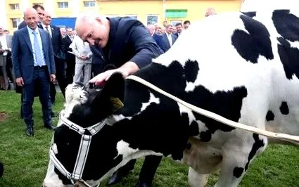 szarvasmarha-tenyésztő millió tonna tejet