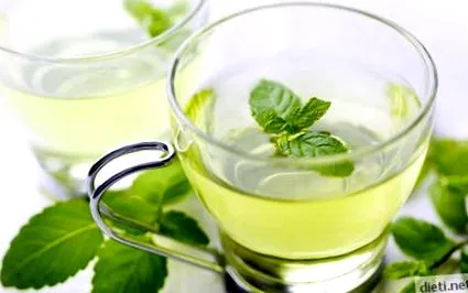 menta menta