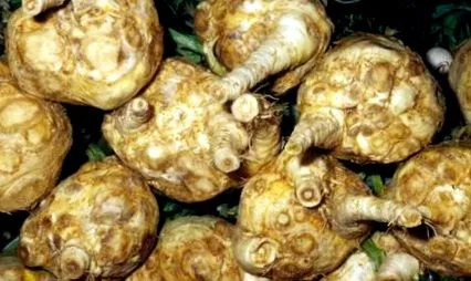 főzéstől egészségig főzéstől egészségig