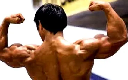 tribulus