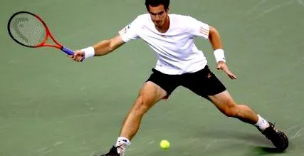 murray andy
