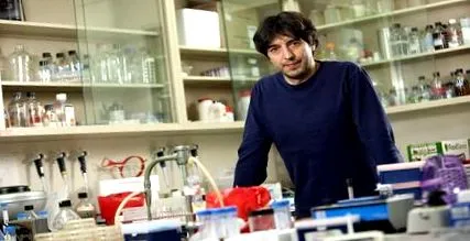 immunrendszert walter