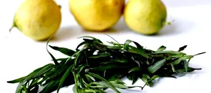 Tárkony aromás aromás gyógyító