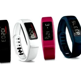 garmin hrivnya