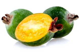 jódfa feijoa