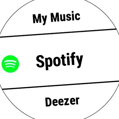 forerunner 245music