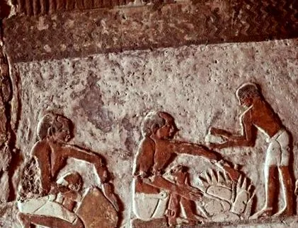 főzés embernek