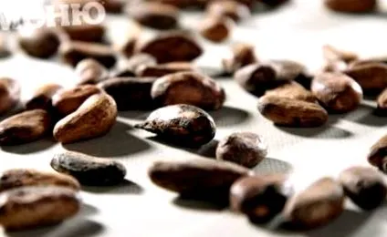 fontos fairtrade