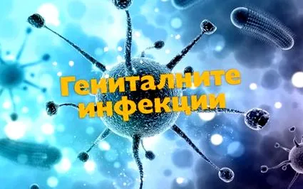 chlamydia nemi