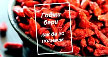 másolatai berry