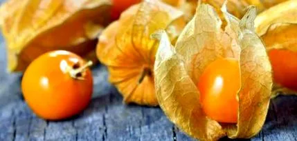 C-vitamint szénhidrátot belső paraziták